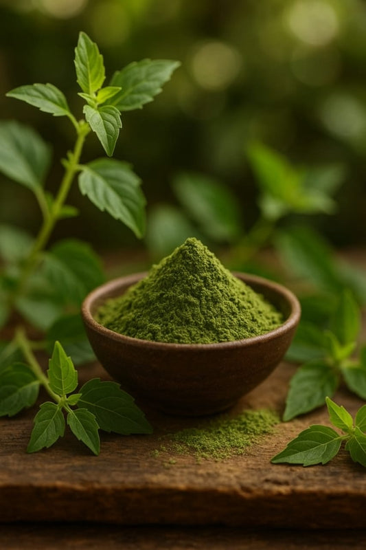 TULSI POWDER